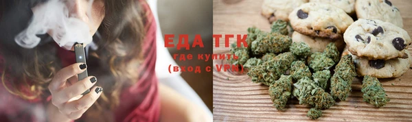 амф Новозыбков
