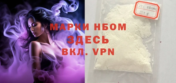 амф Новозыбков