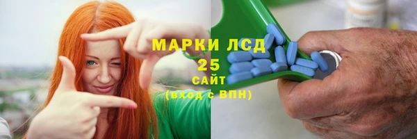 амф Новозыбков