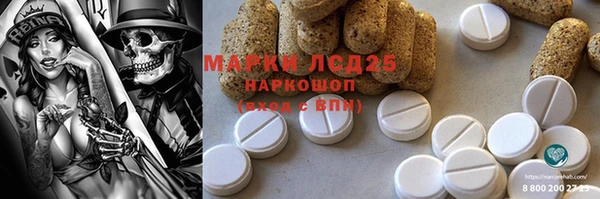амф Новозыбков
