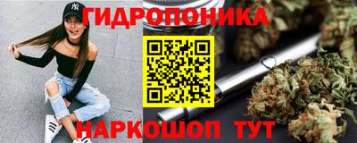 крисы Волжск