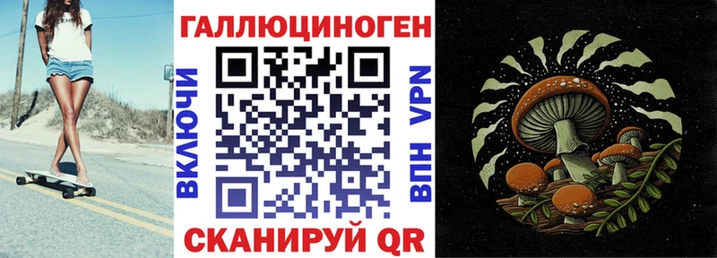 Галлюциногенные грибы MAGIC MUSHROOMS где можно купить наркотик Махачкала