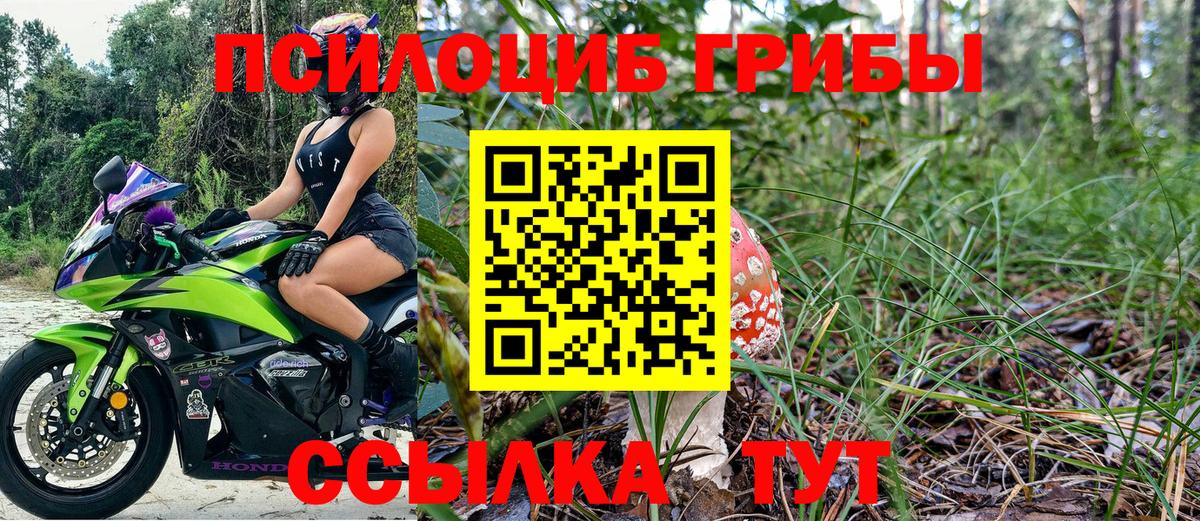 Псилоцибиновые грибы Magic Shrooms Махачкала