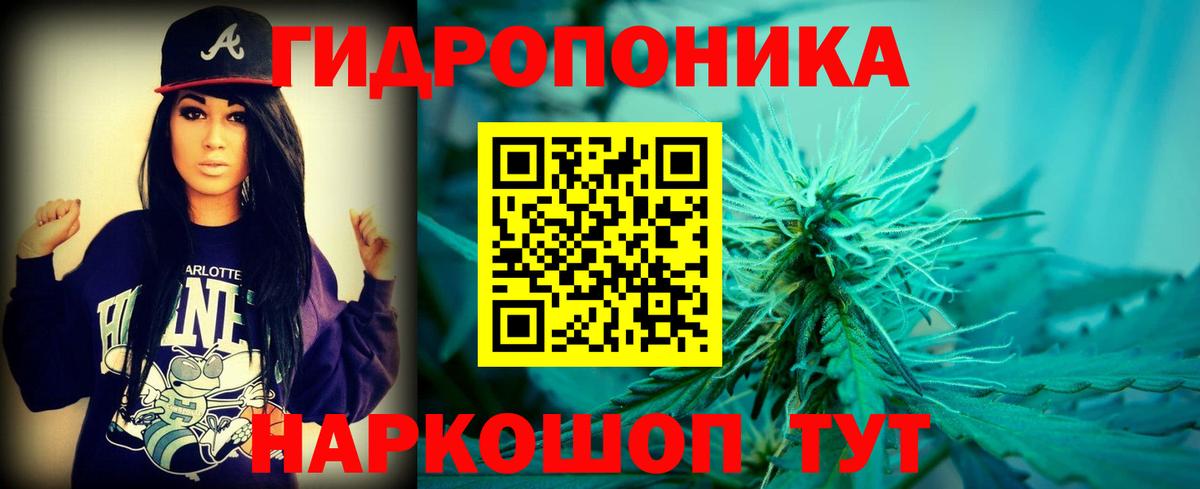 Бошки Шишки AK-47 Махачкала